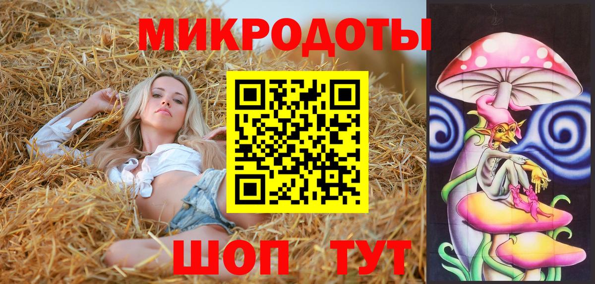 купить наркотик  Псилоцибиновые грибы Cubensis  Вход с VPN  Котовск  Псилоцибиновые грибы мицелий 